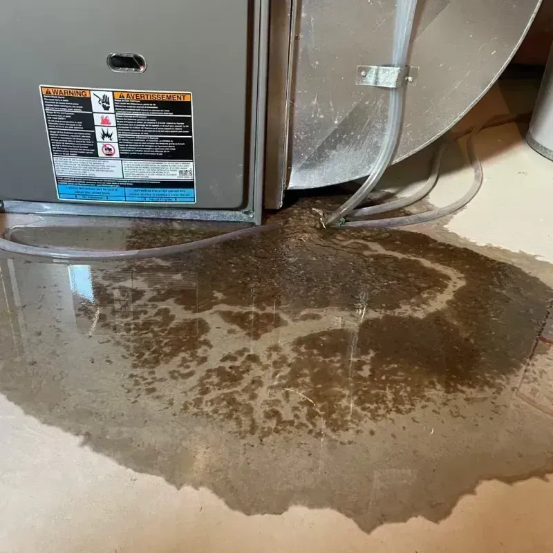 Appliance Leak Cleanup in Germantown, IL